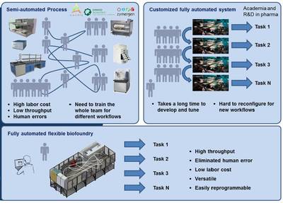生命工坊核心技術(shù) 細(xì)胞技術(shù)研發(fā)與應(yīng)用