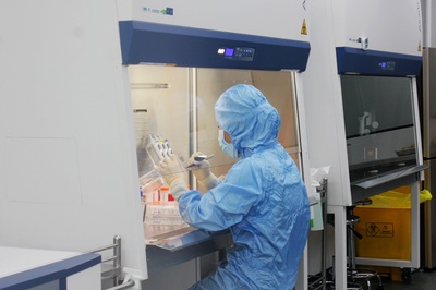 突破創(chuàng)新 恩聯(lián)干細(xì)胞生物科技研究院自主研發(fā)慢病毒凍存液技術(shù)獲專(zhuān)利受理